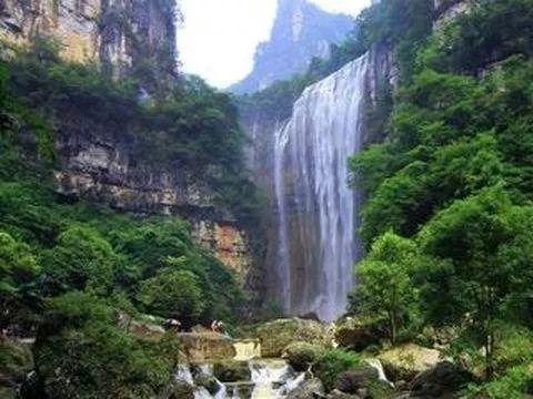 中国跳水队公布多哈世锦赛参赛名单