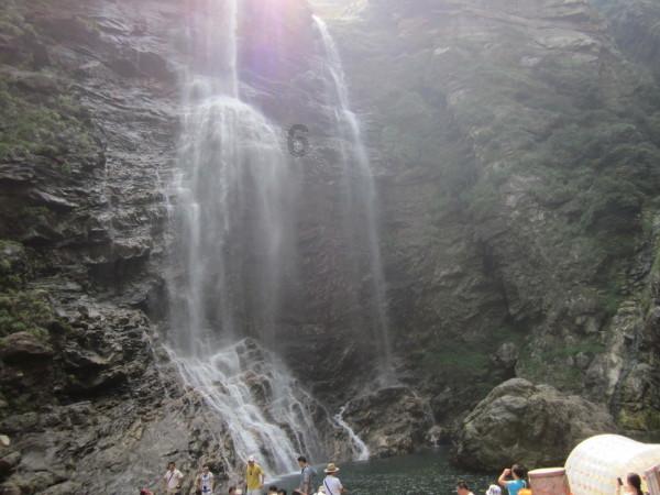 动物帮帮忙保卫家园