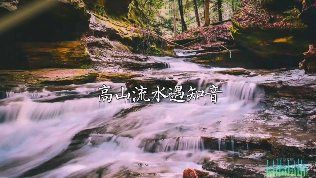 救援瓢虫宝宝
