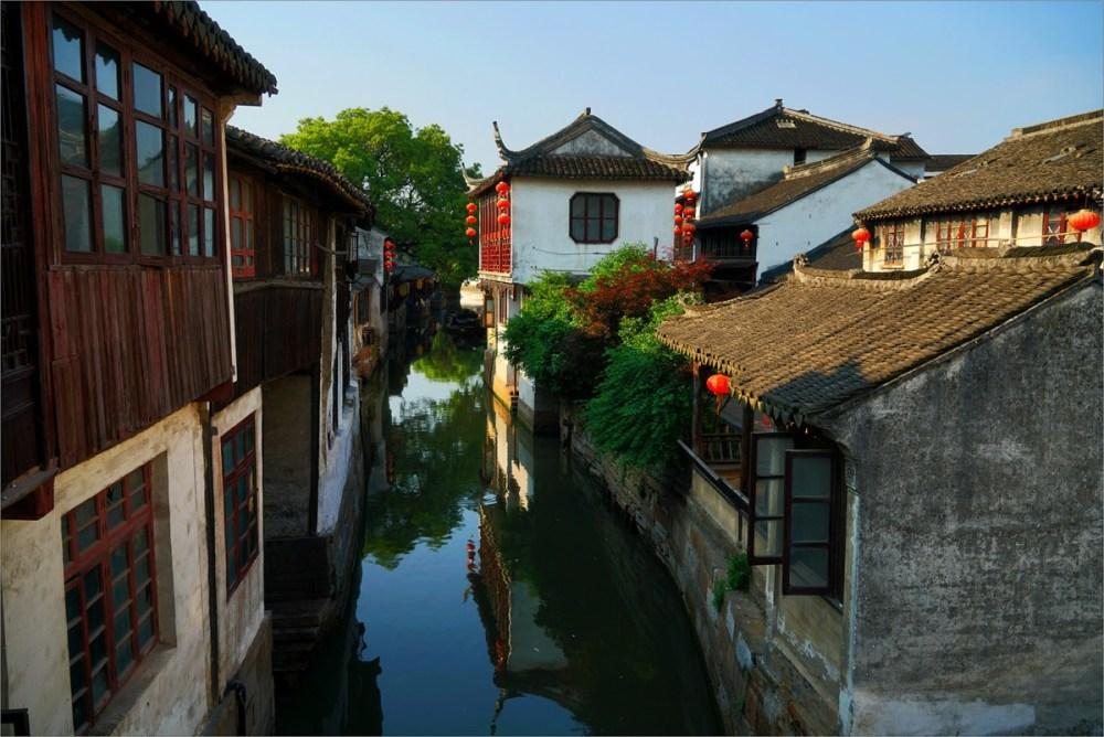 沙皮狗逃离