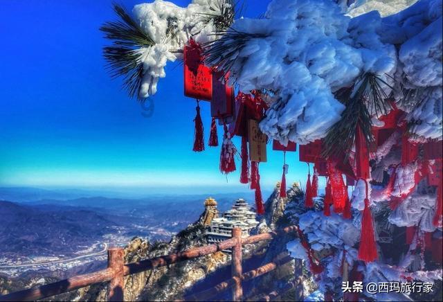 以撒的结合：胎衣
